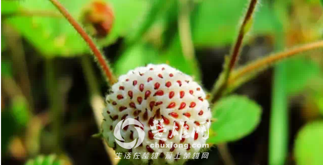 QQ图片20150331162430.png