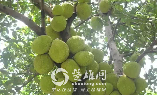 QQ图片20150331162459.png
