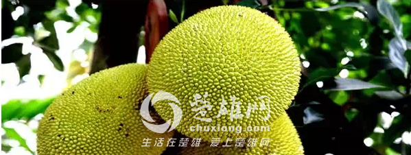 QQ图片20150331162512.png
