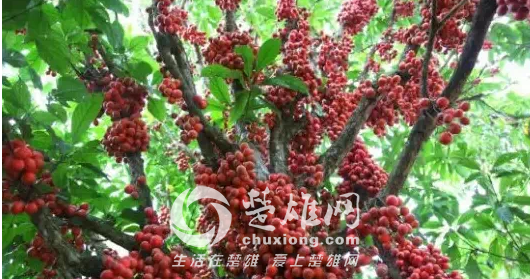 QQ图片20150331162639.png