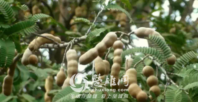 QQ图片20150331162759.png