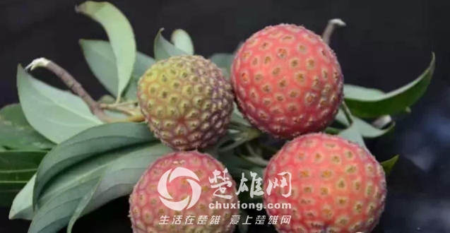 QQ图片20150331162835.png