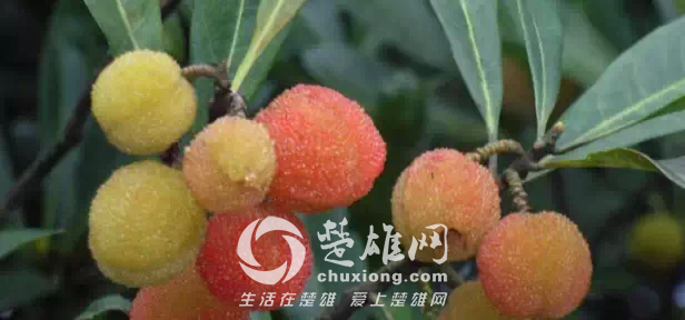 QQ图片20150331162904.png