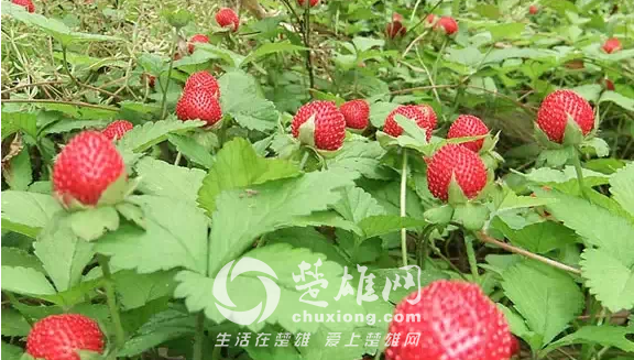 QQ图片20150331162919.png