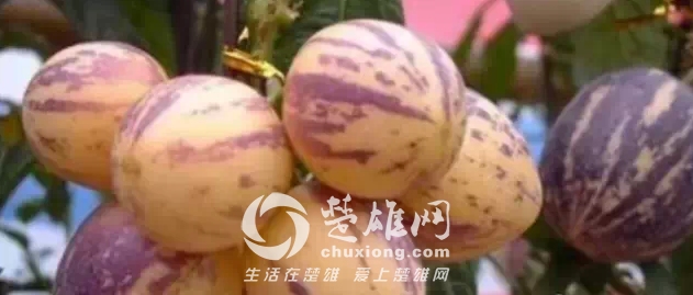 QQ图片20150331162931.png