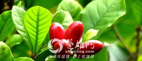 QQ图片20150331162945.png