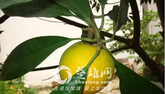 QQ图片20150331162957.png