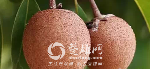 QQ图片20150331163012.png