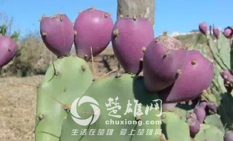 QQ图片20150331163048.png