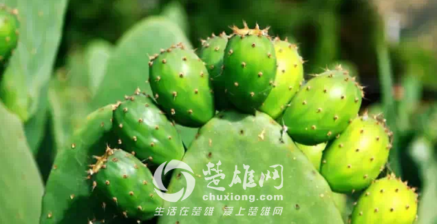 QQ图片20150331163100.png