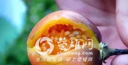 QQ图片20150331163114.png