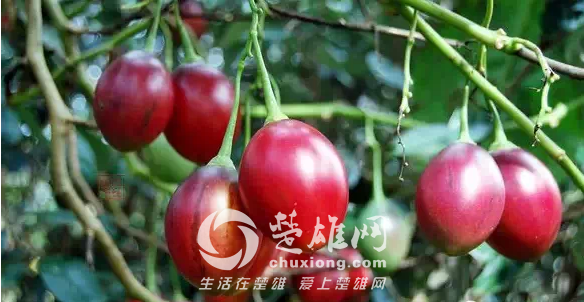 QQ图片20150331163125.png