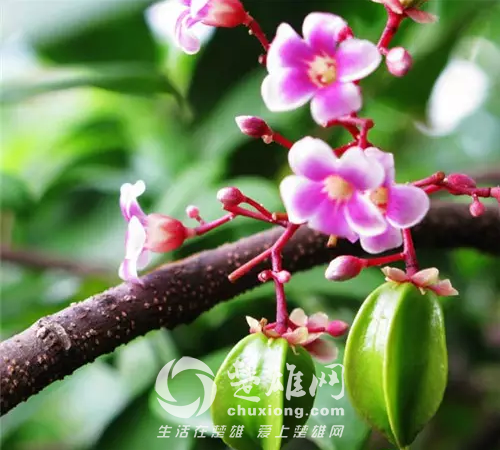 0&amp;wxfrom=5.png