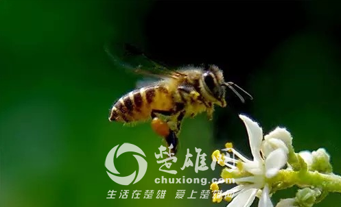 QQ图片20150401153503.png