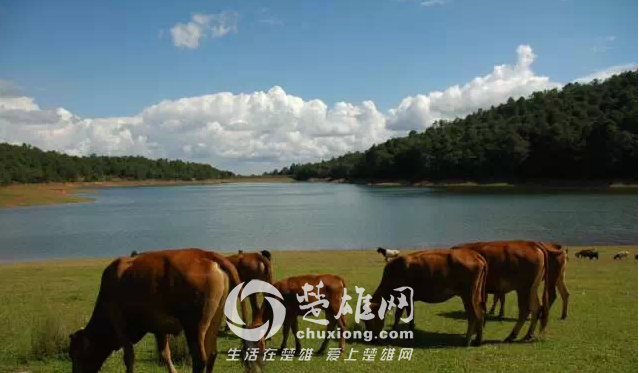 QQ图片20150402150422.png