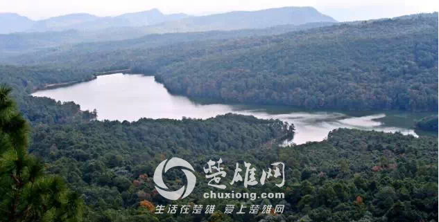 QQ图片20150402150514.png