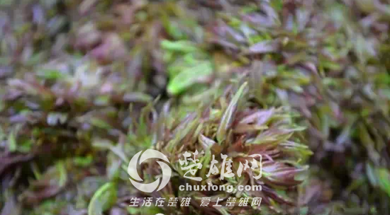 QQ图片20150403144758.png