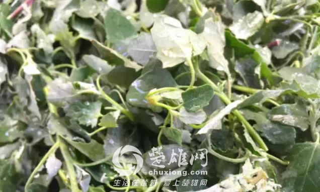QQ图片20150403144747.png