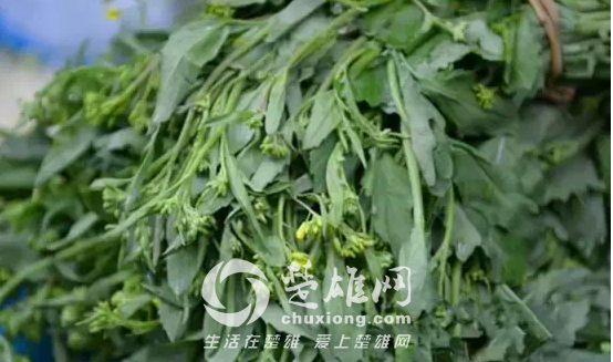 QQ图片20150403144654.png