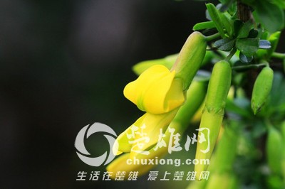 t015802b9558b5c38b8.jpg