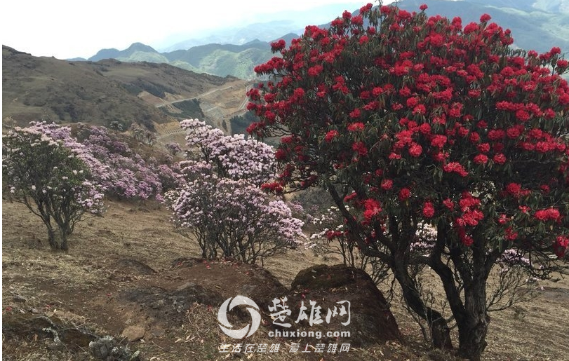 QQ图片20150407171830.png