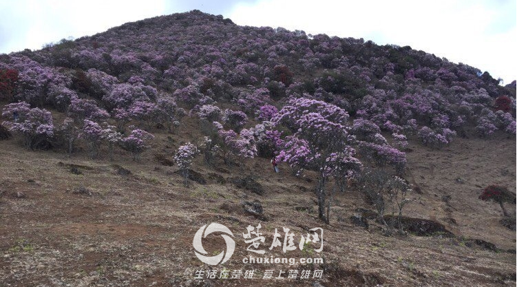QQ图片20150407171851.png