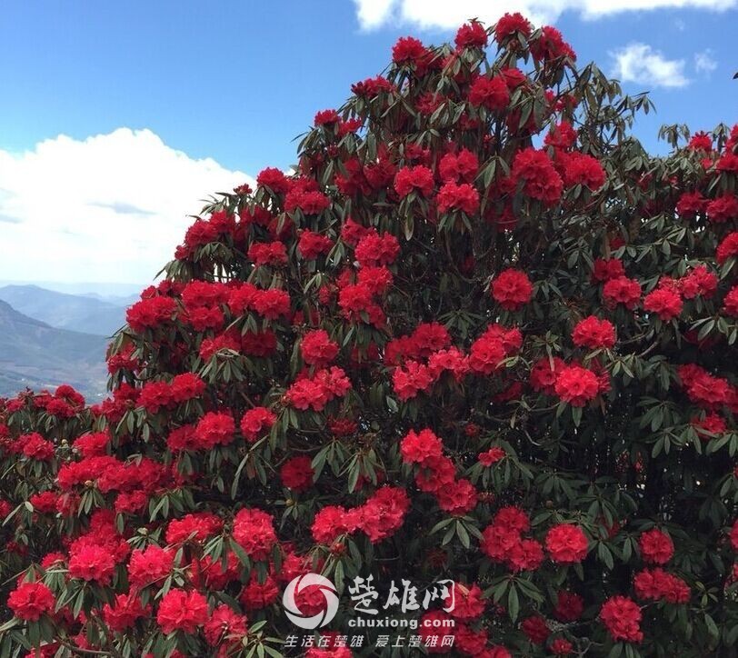 QQ图片20150407171938.jpg