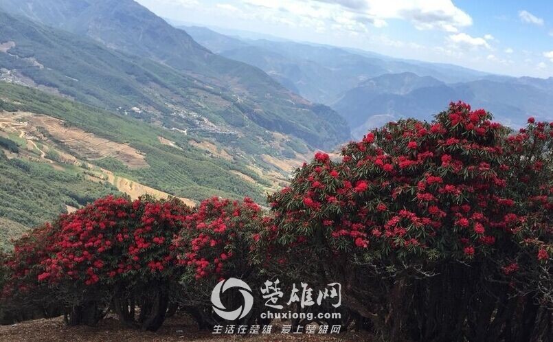 QQ图片20150407171920.jpg
