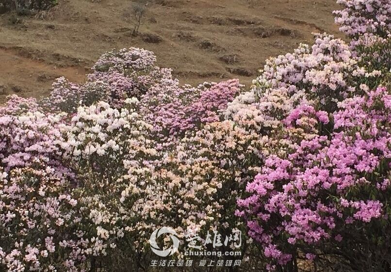 QQ图片20150407171903.jpg