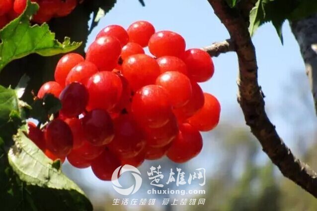 QQ图片20150407173711.jpg