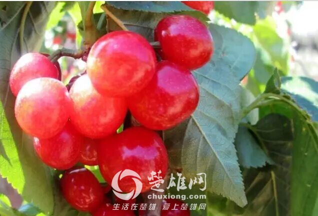 QQ图片20150407173630.jpg