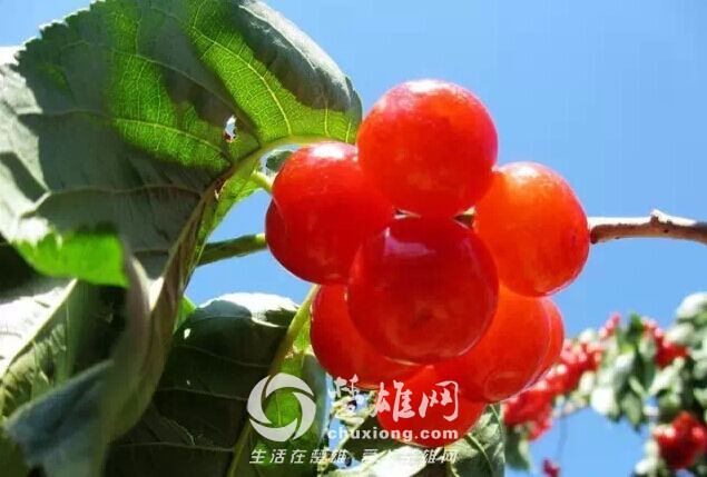 QQ图片20150407173643.jpg