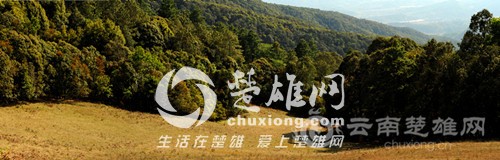 9702_500x500.jpg