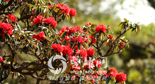 QQ图片20150414084836.png