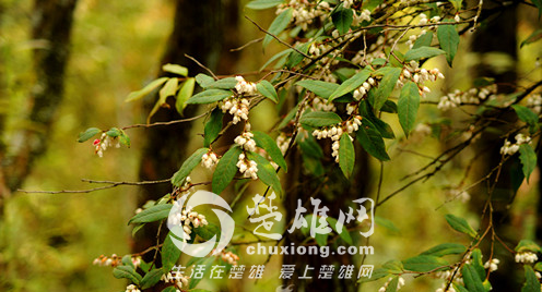 QQ图片20150414084922.png