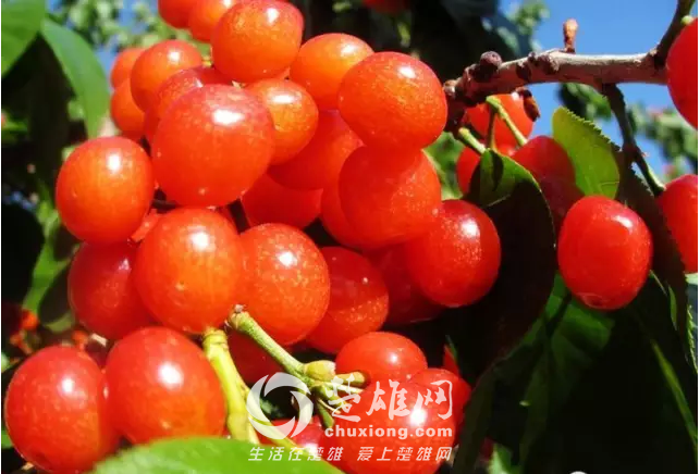 QQ图片20150407173656.png
