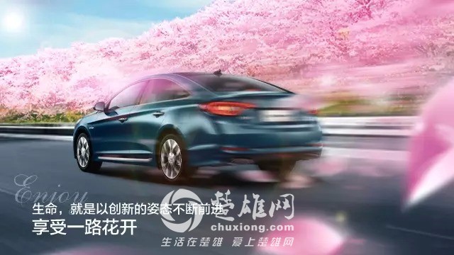 SONATA3.jpg