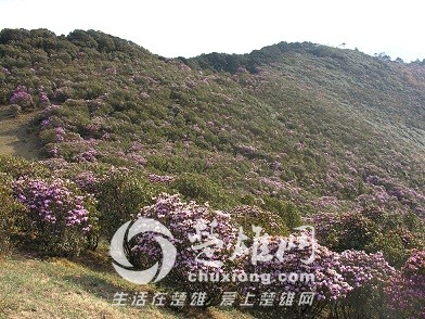 f6588_1.jpg