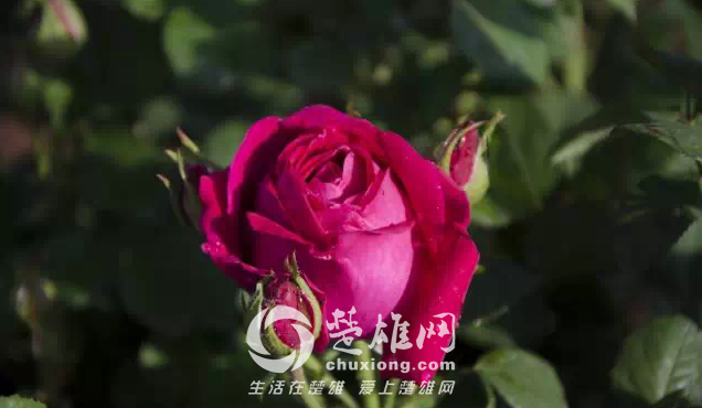 QQ图片20150421140611.png
