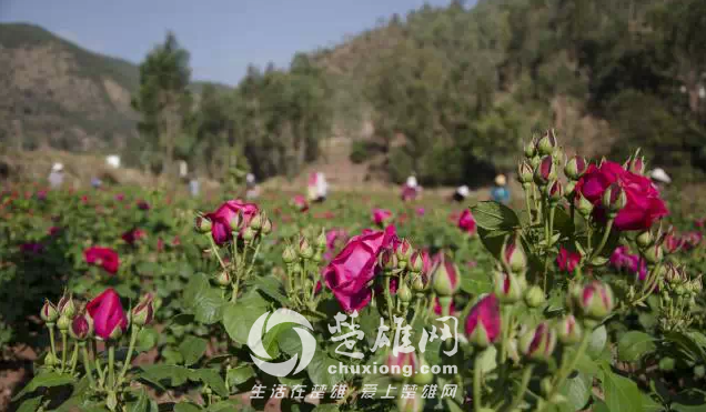 QQ图片20150421140635.png