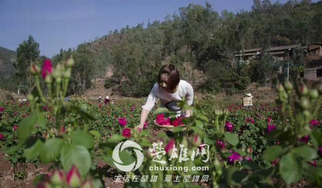 QQ图片20150421140650.png