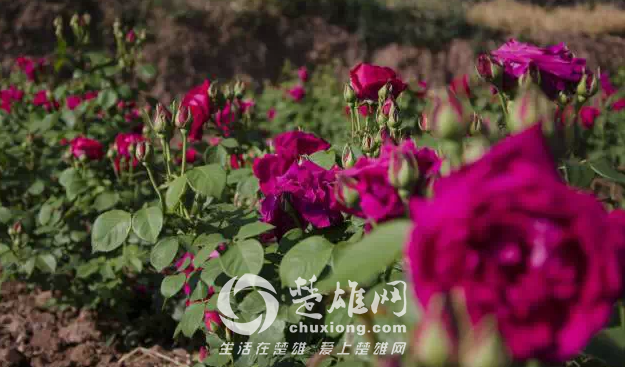 QQ图片20150421140705.png