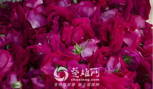 QQ图片20150421140904.png