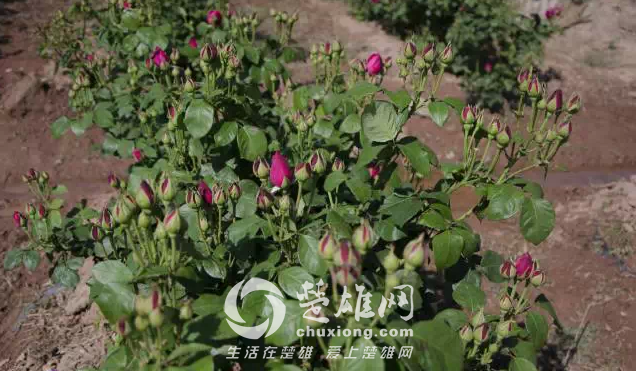 QQ图片20150421140928.png