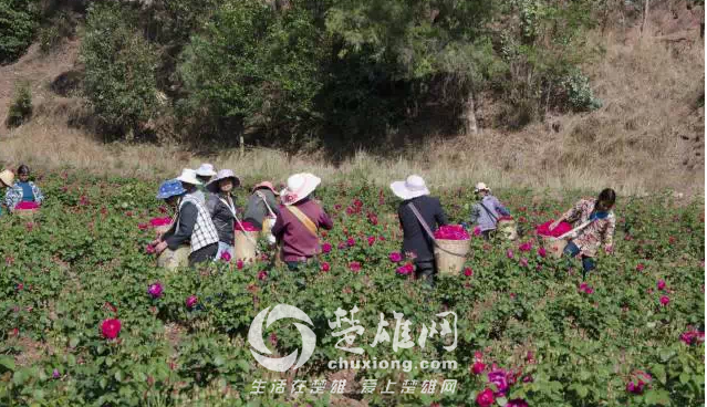 QQ图片20150421140952.png