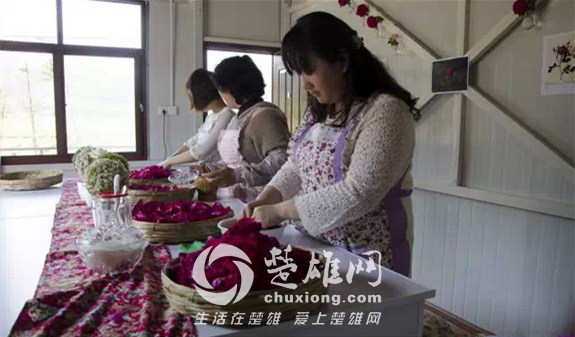 玫瑰18.png
