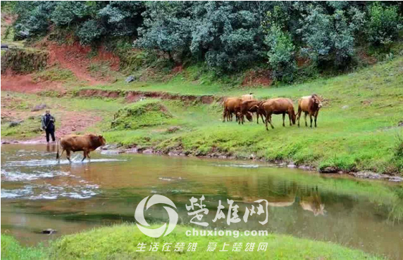 武定水城河3.png