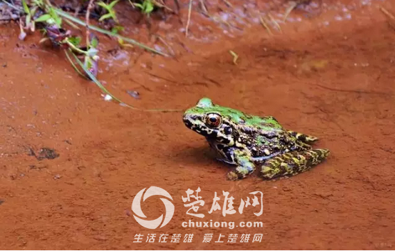 武定水城河16.png
