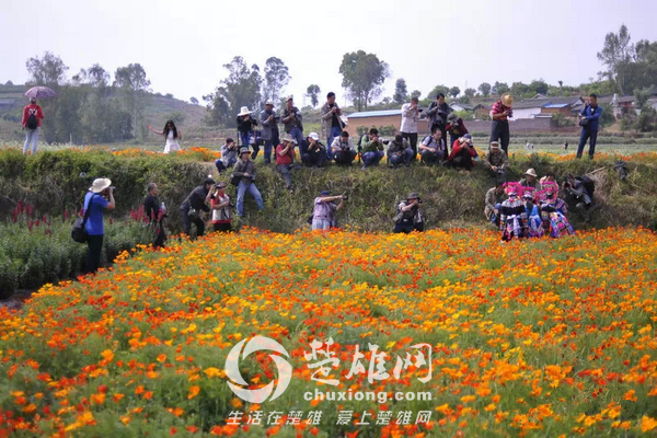 永仁看花3.png