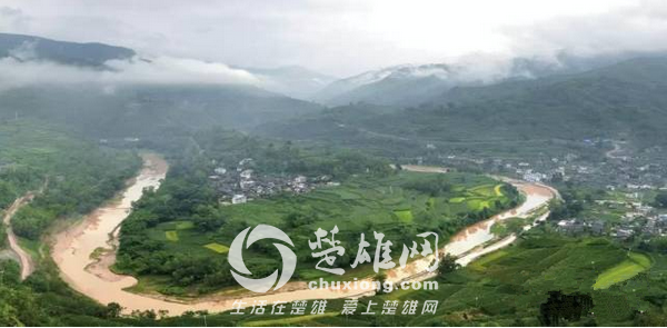 妥安1.png